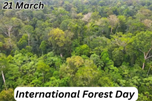 International Day of Forests