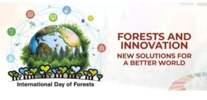 International Day of Forests 2024